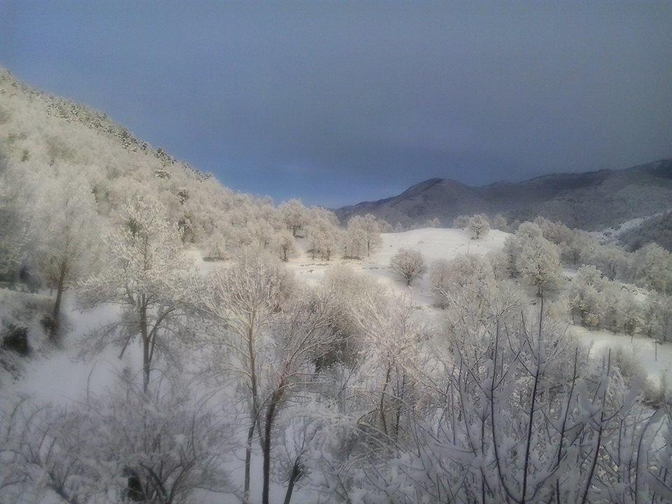 Mas Regort Hotel Vallfogona De Riucorb Esterno foto
